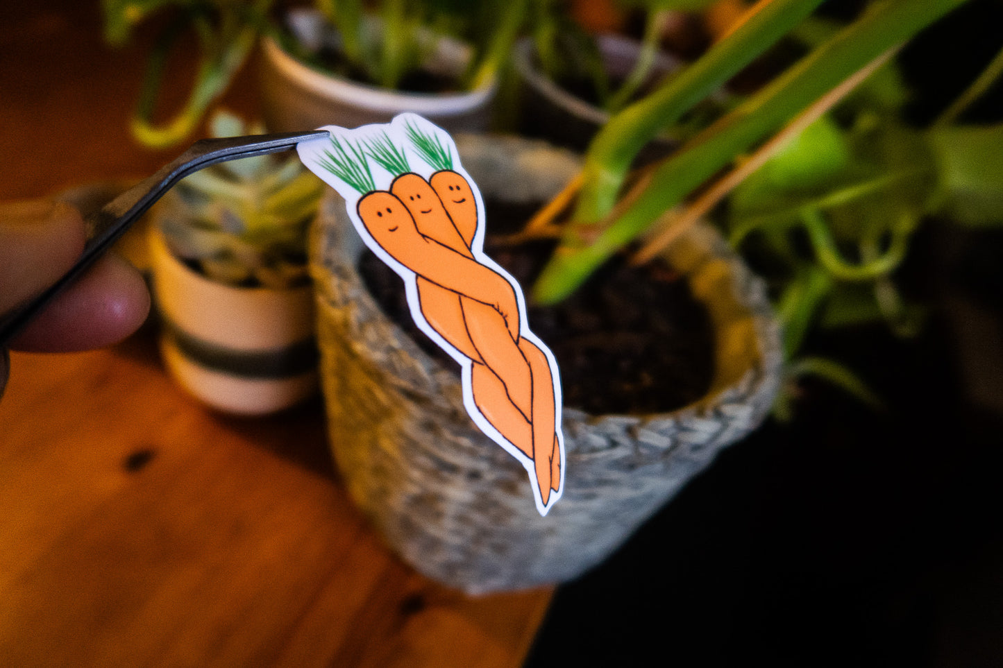 Twisted Carrots Sticker
