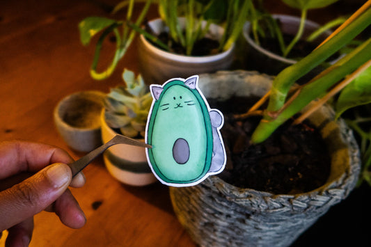 Avocato sticker