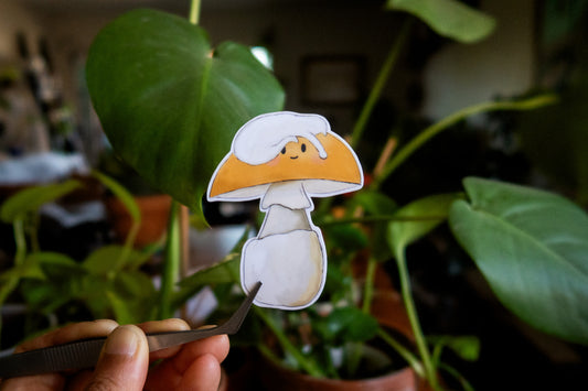 Cat-ccora Mushroom Sticker