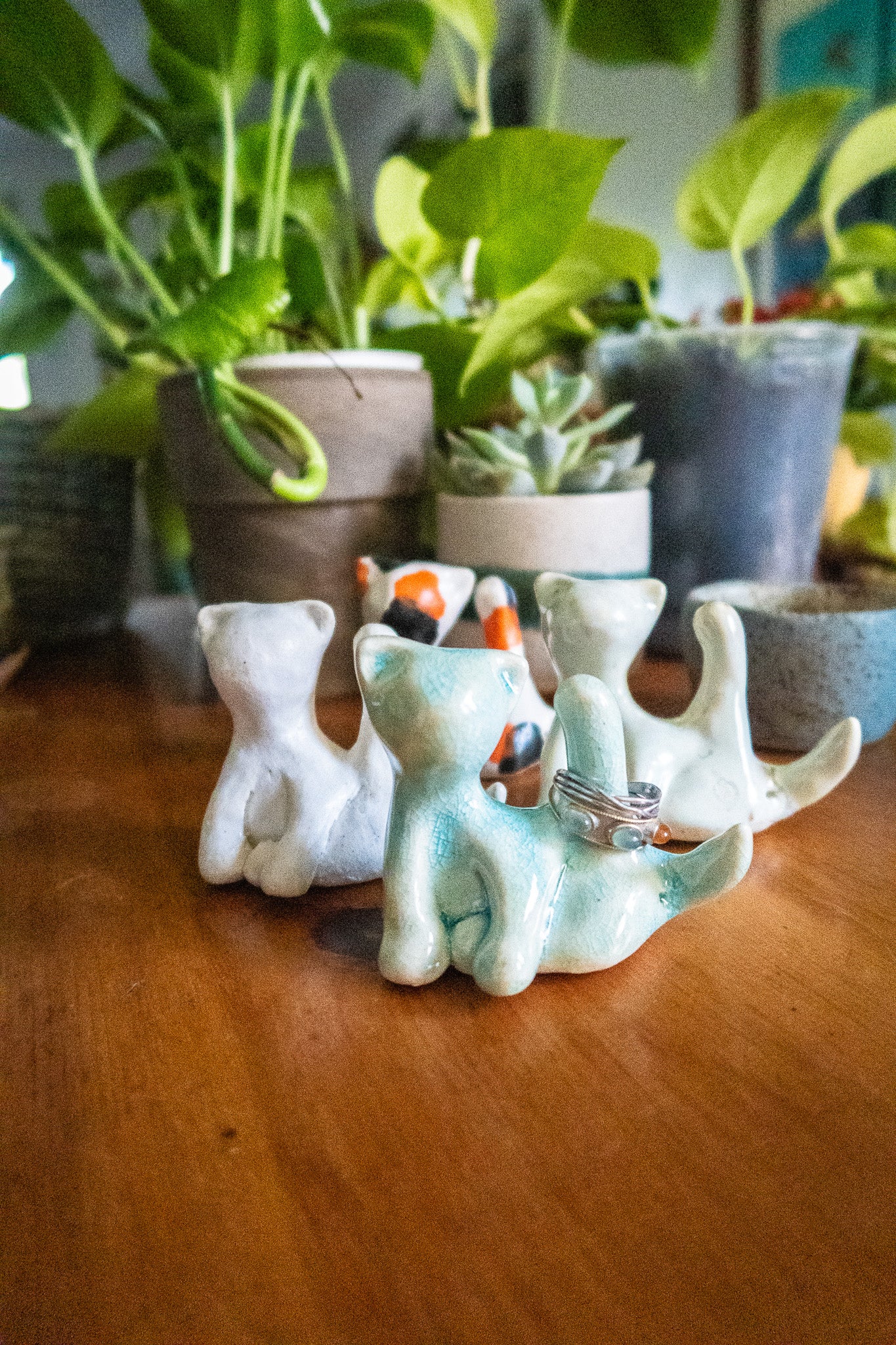Cat-hole Ring Holder