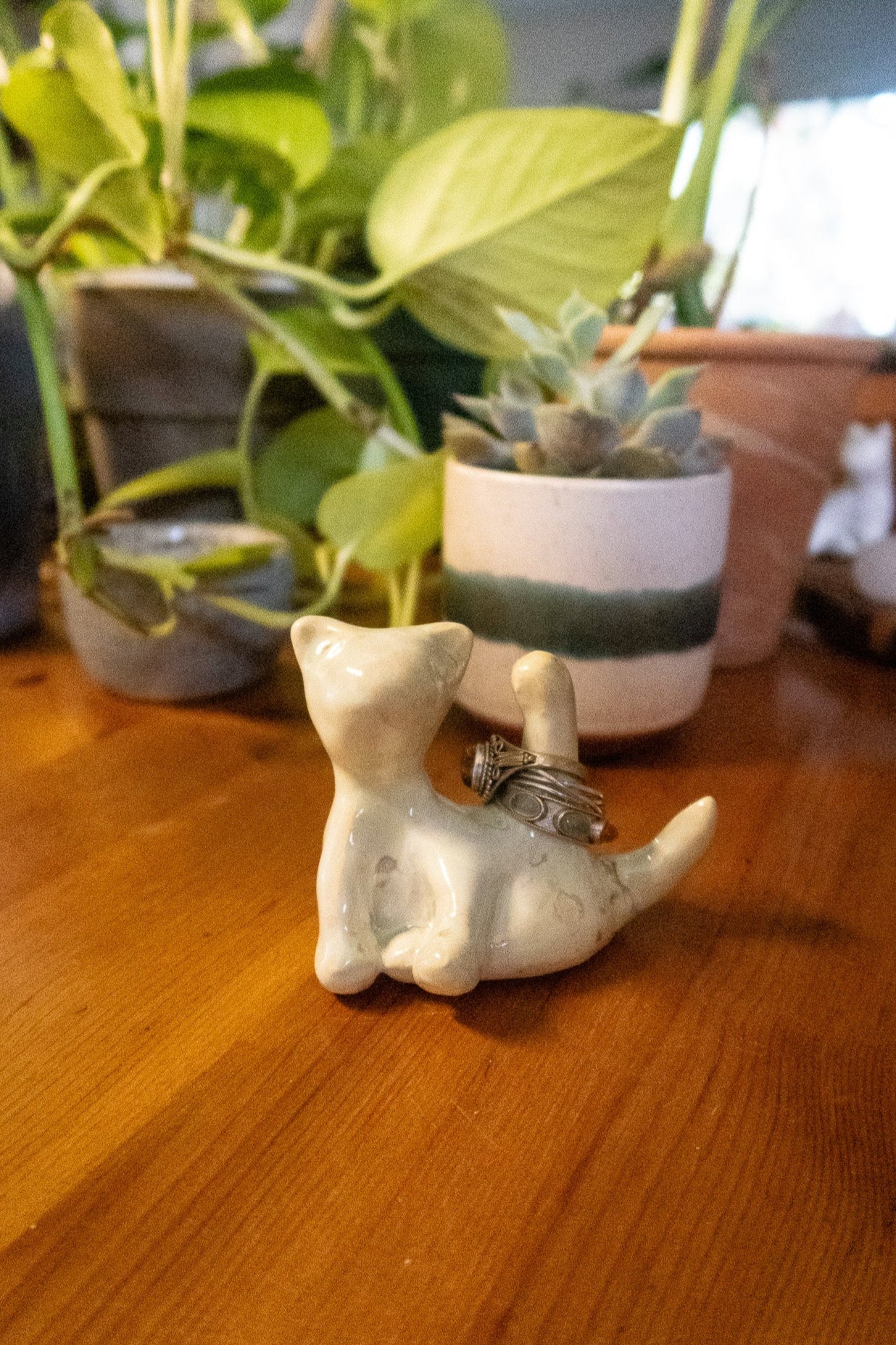 Cat-hole Ring Holder