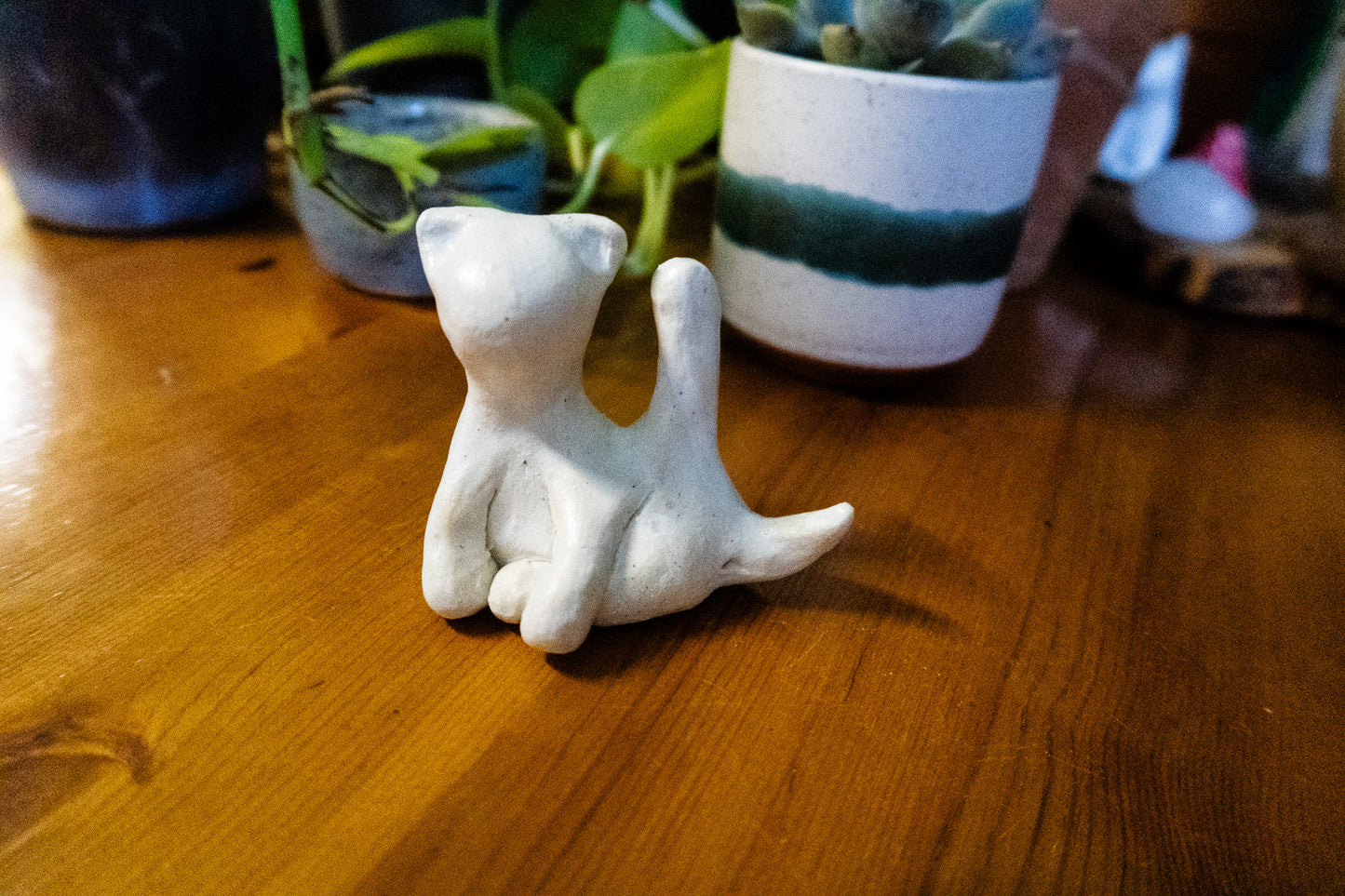 Cat-hole Ring Holder