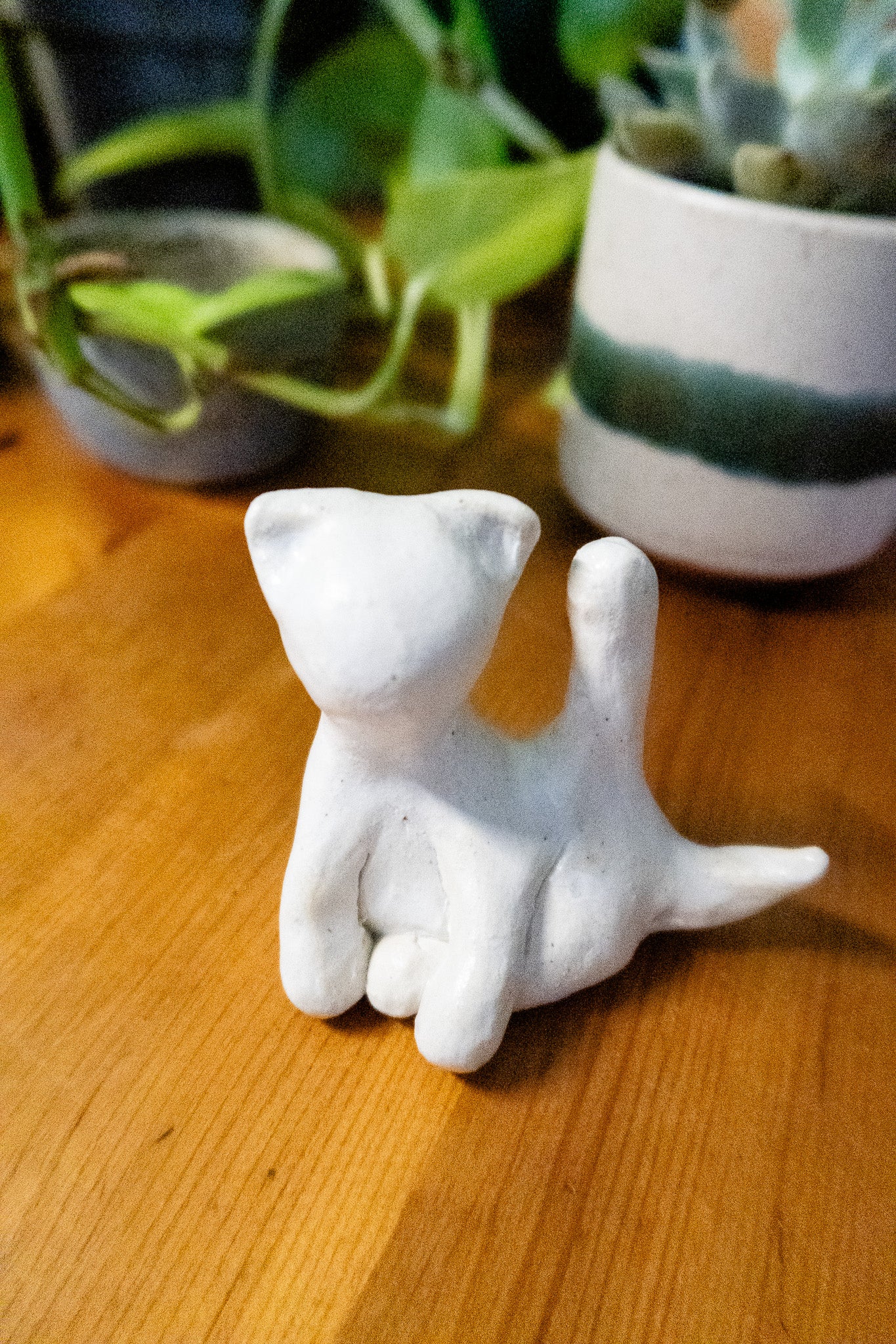 Cat-hole Ring Holder