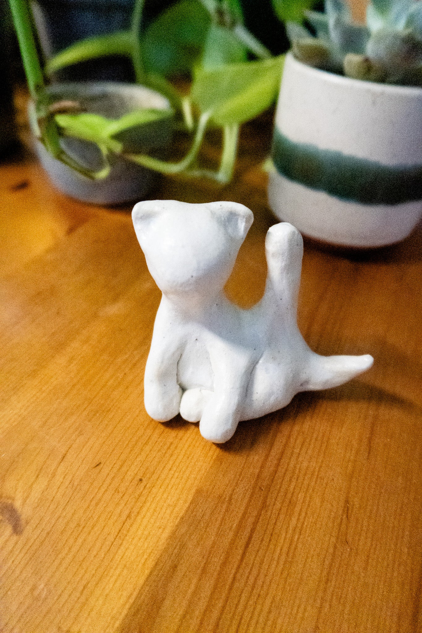 Cat-hole Ring Holder
