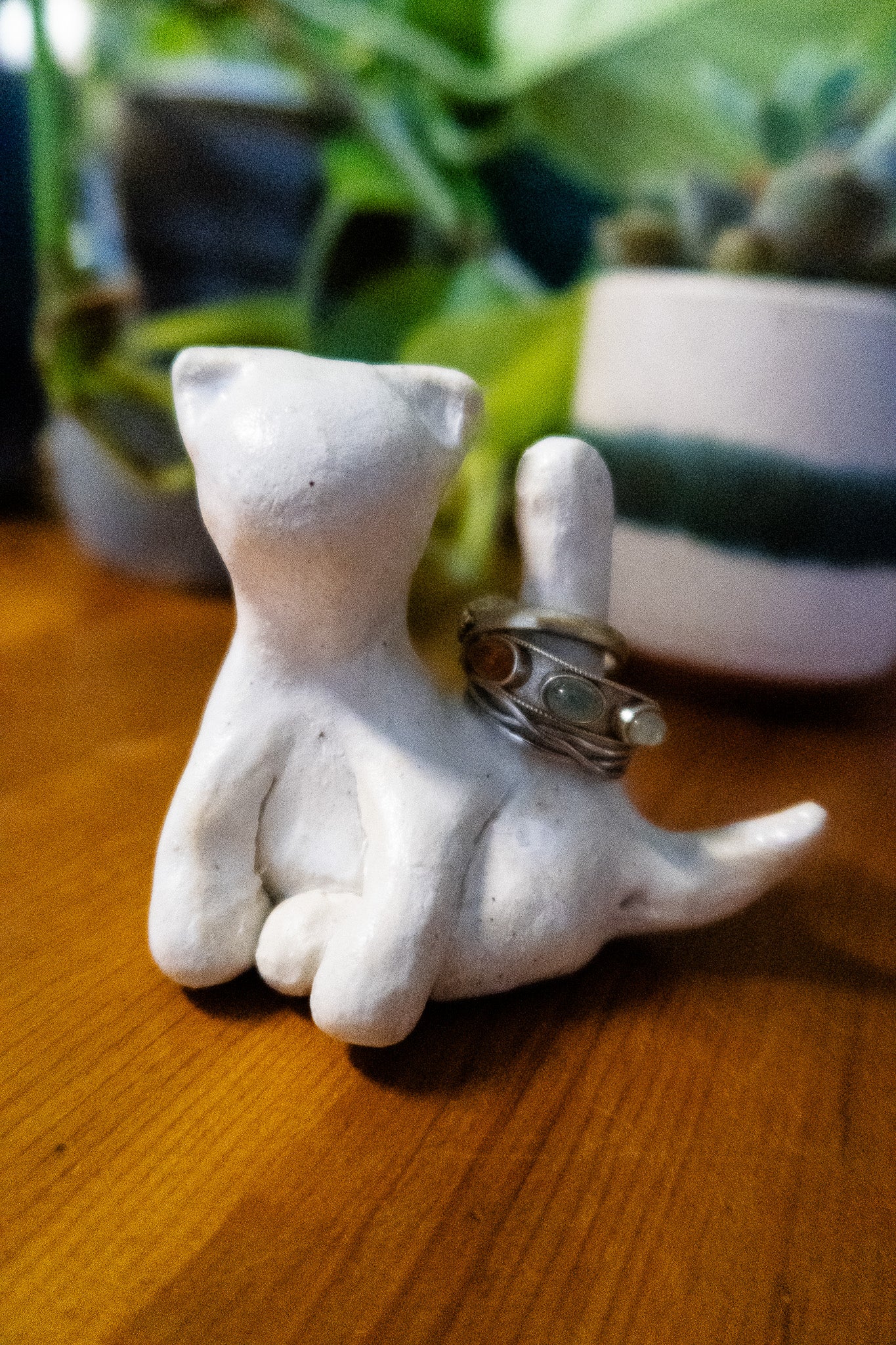 Cat-hole Ring Holder