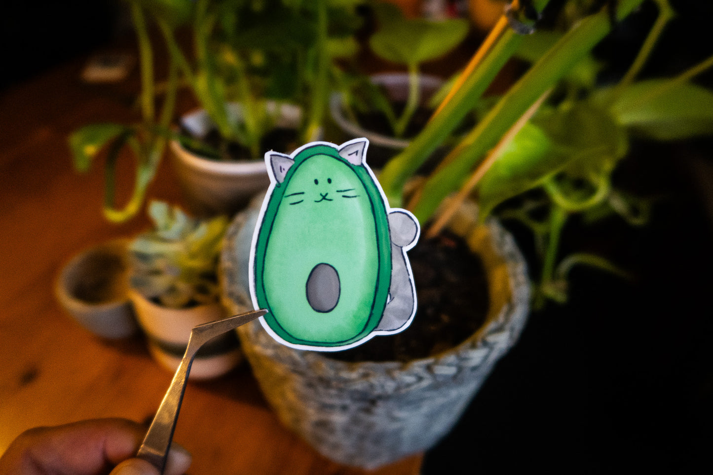 Avocato sticker