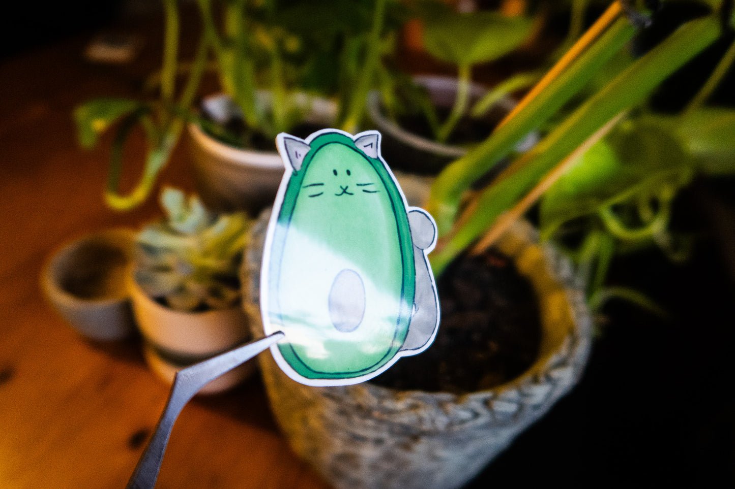 Avocato sticker