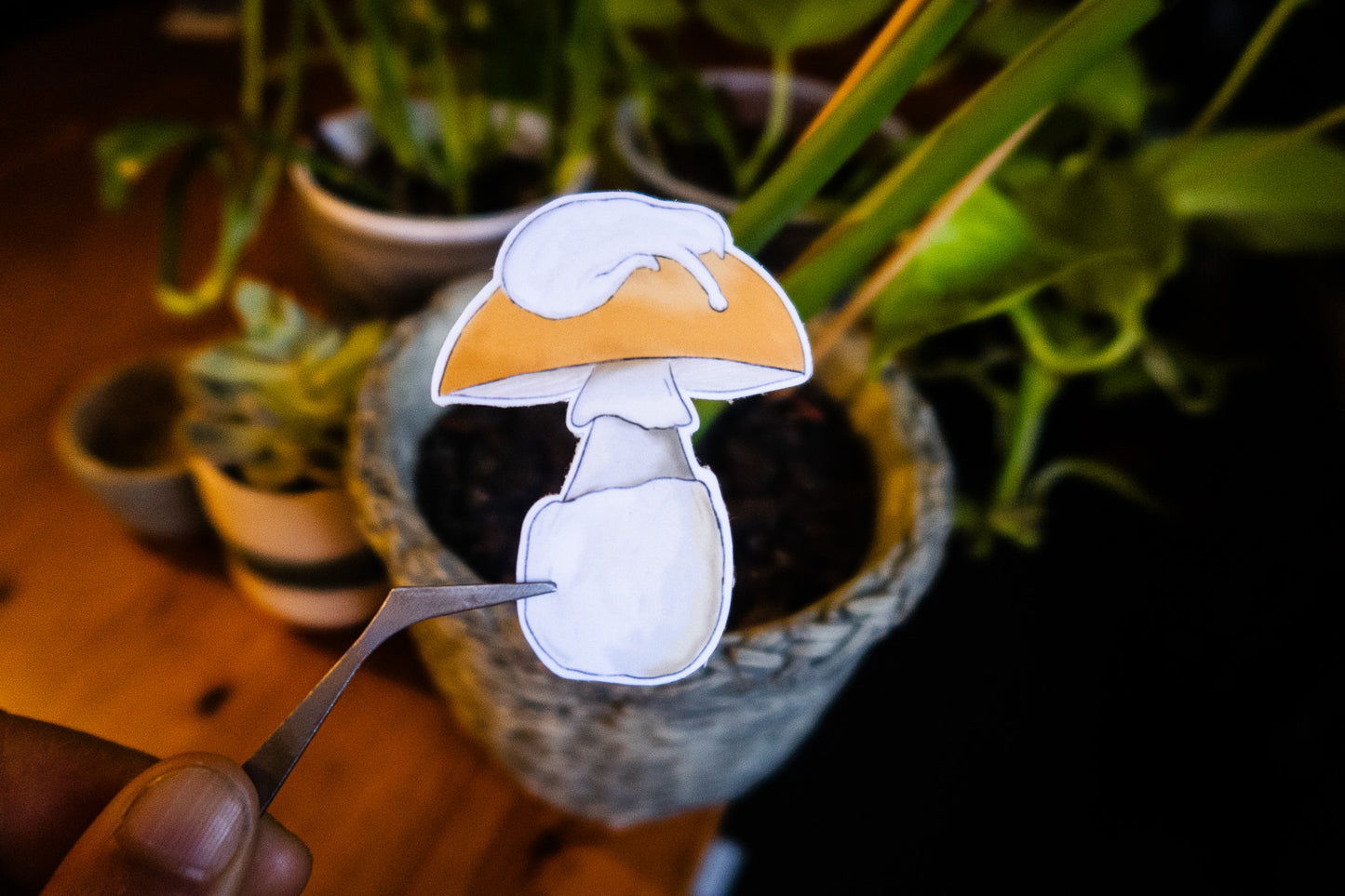 Cat-ccora Mushroom Sticker