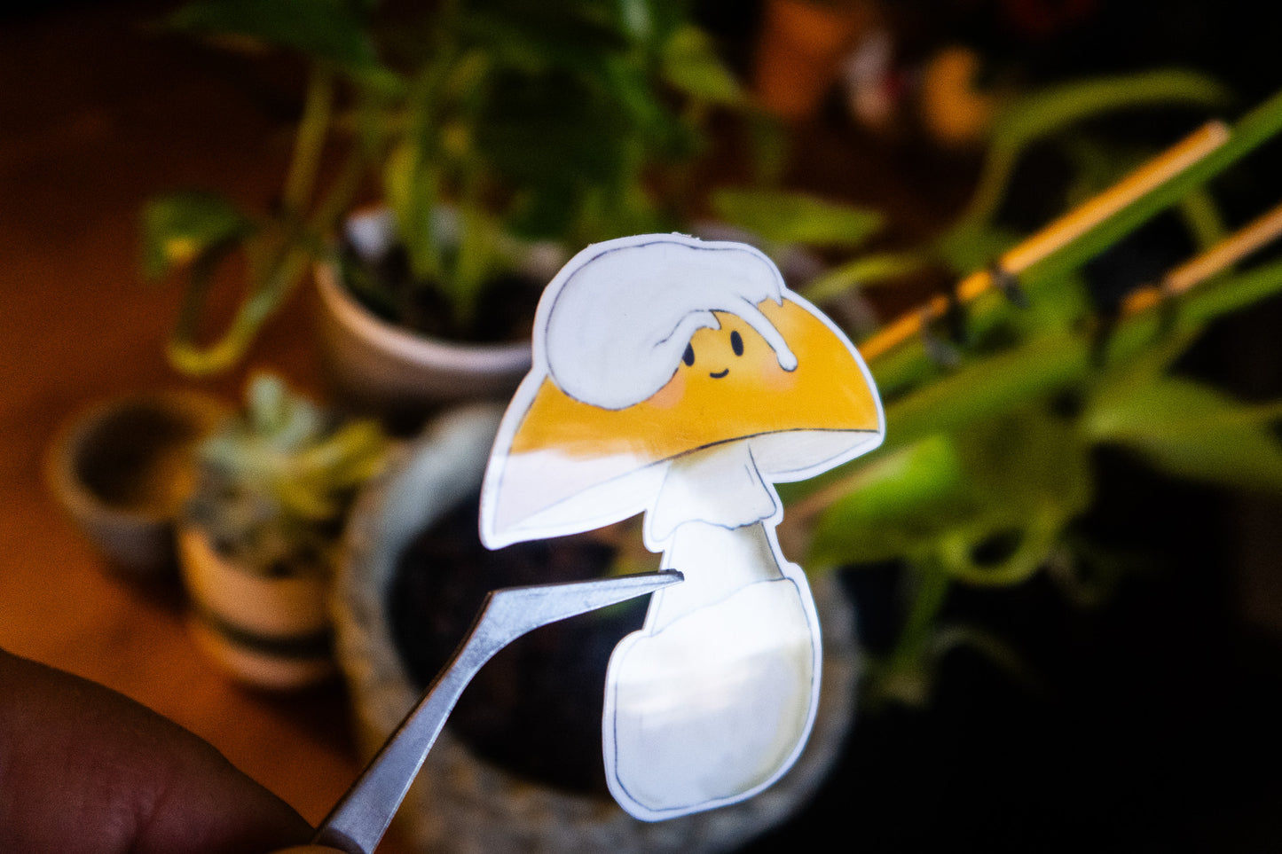 Cat-ccora Mushroom Sticker