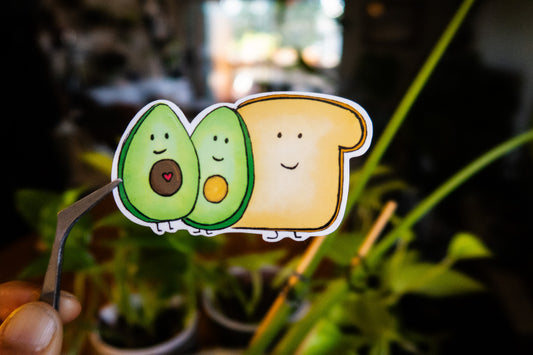 Avo Toast