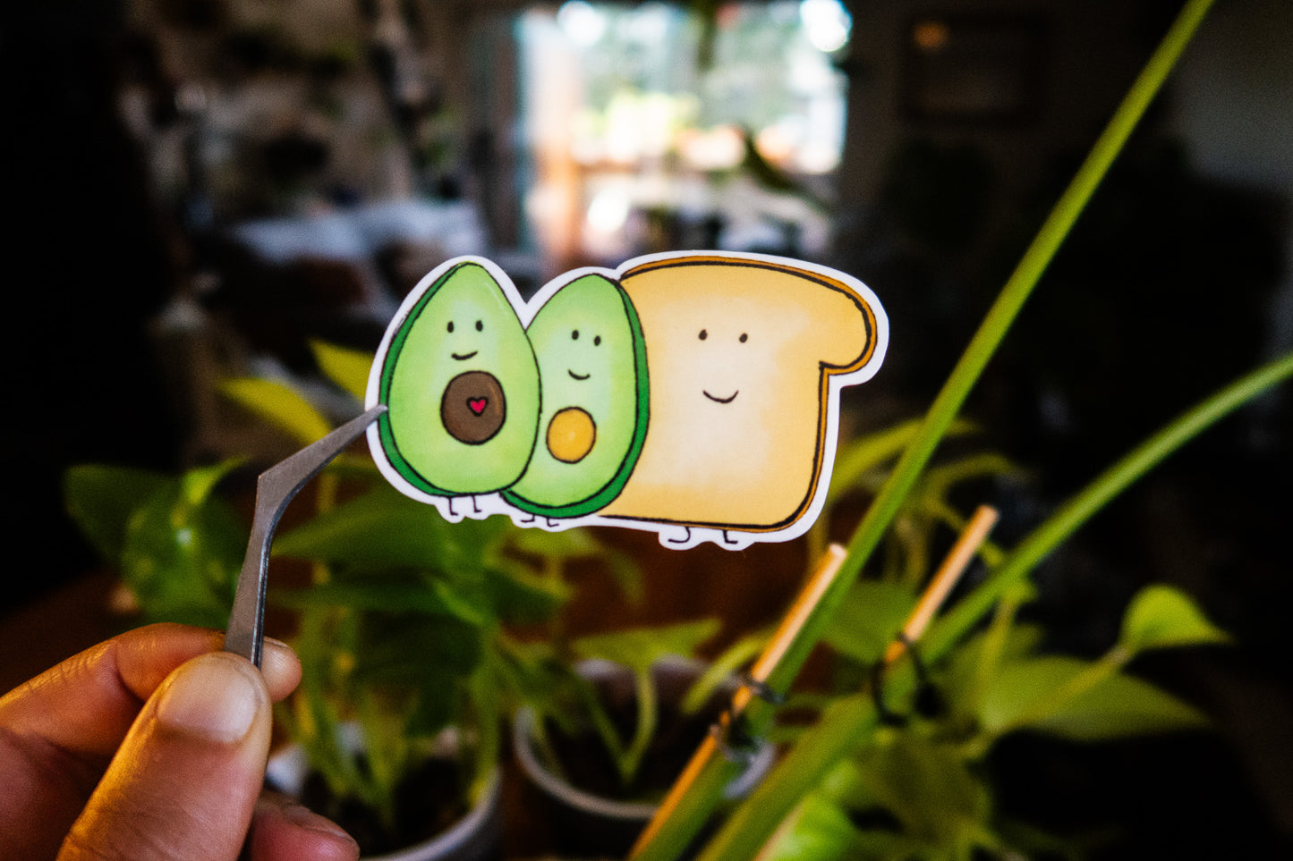 Avo Toast