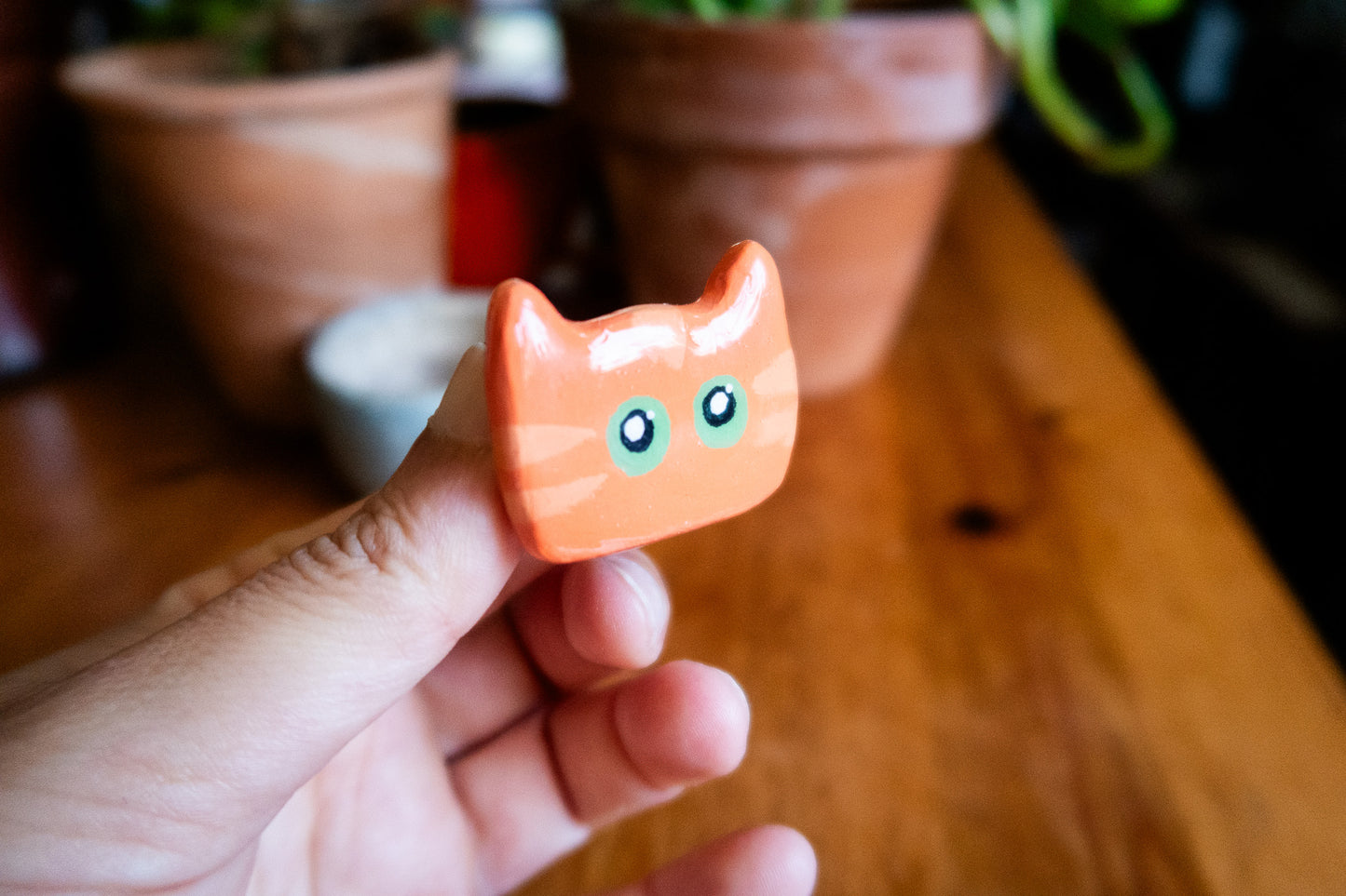 and holding a small orange cat-shaped polymer clay magnet with potted plants in the background