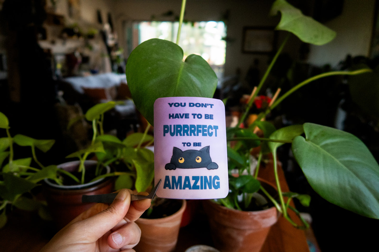 Purrrfect Sticker