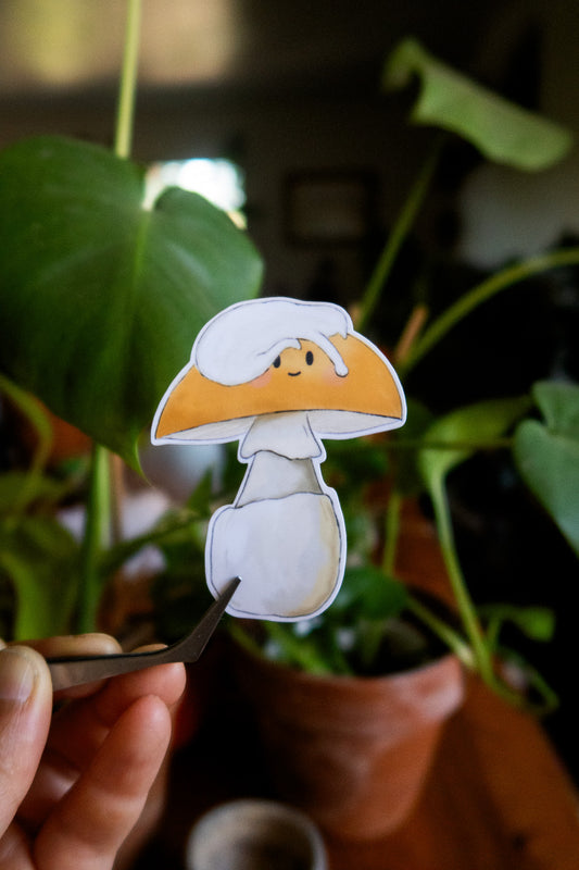 Cat-ccora Mushroom Sticker