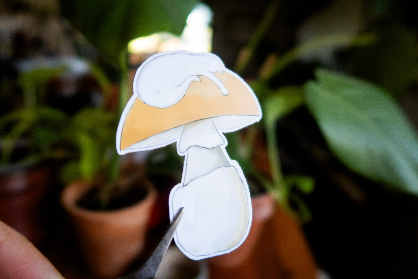 Cat-ccora Mushroom Sticker
