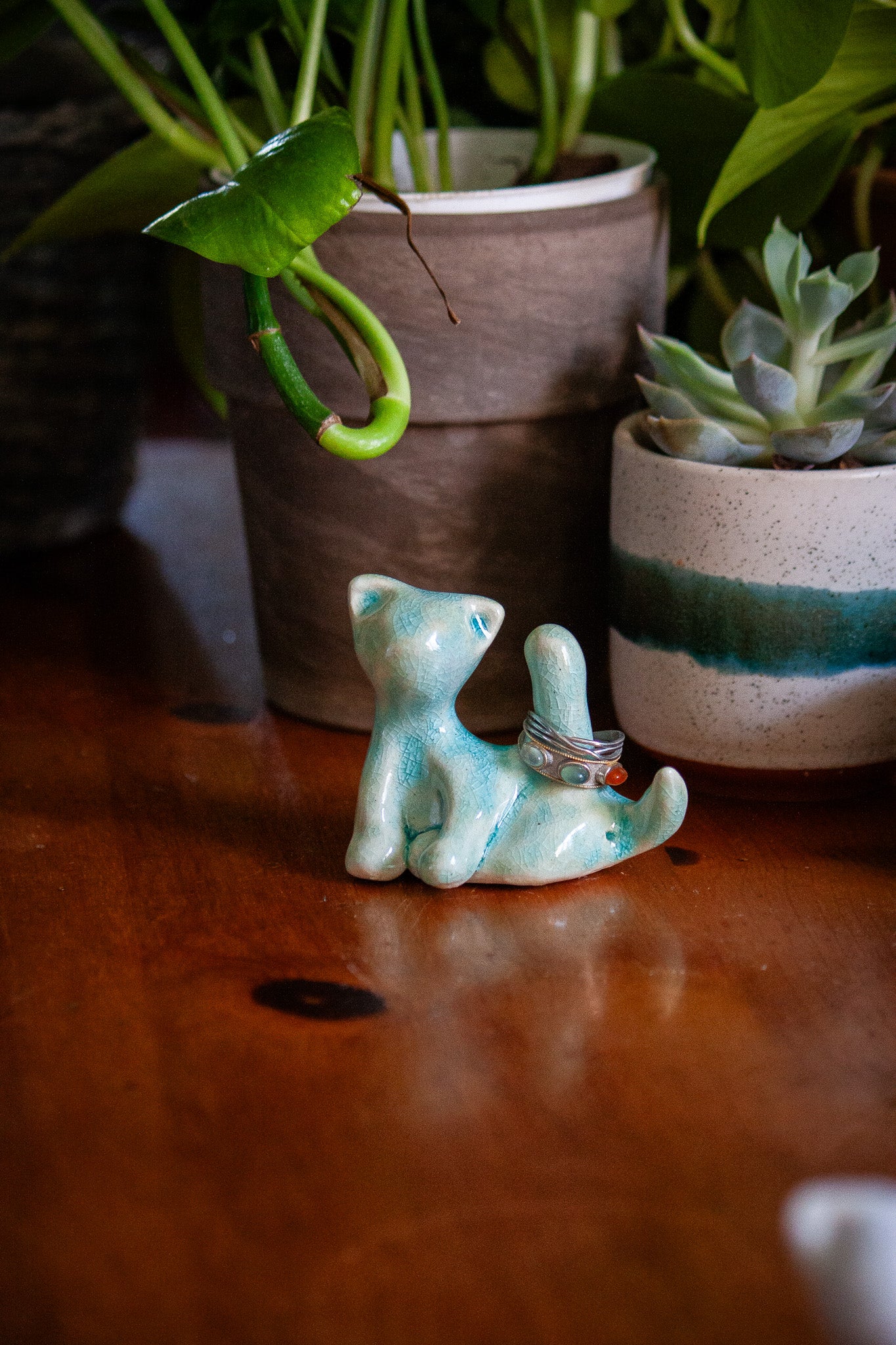 Cat-hole Ring Holder
